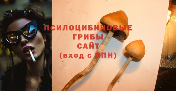 PSILOCYBIN Алексеевка