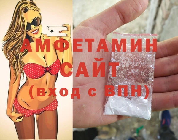 ECSTASY Алзамай