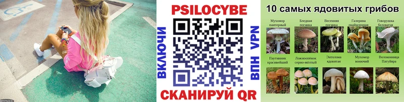 Псилоцибиновые грибы ЛСД  закладки  Мыски 